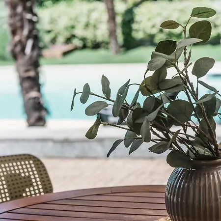 Sotto Un Cielo Di Stelle Turijn